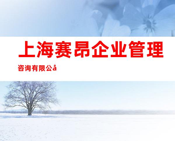 上海赛昂企业管理咨询有限公司