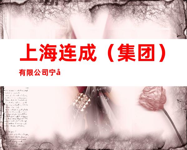 上海连成(集团)有限公司宁夏分公司