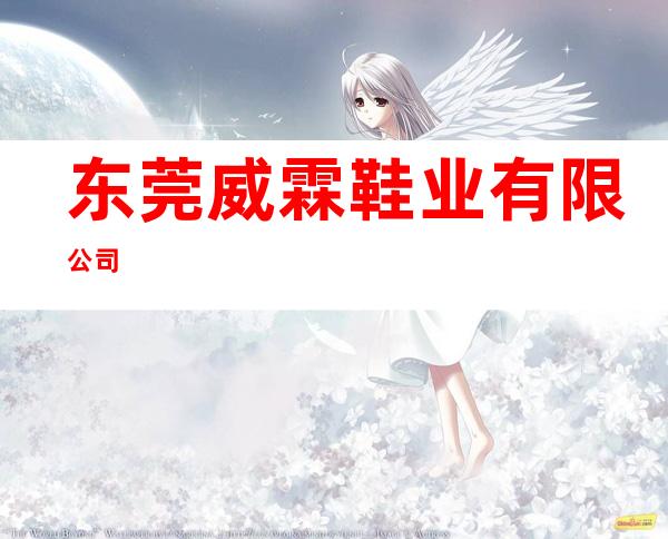 东莞威霖鞋业有限公司