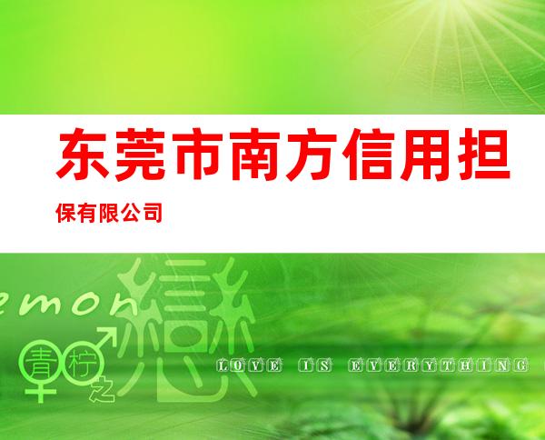 东莞市南方信用担保有限公司