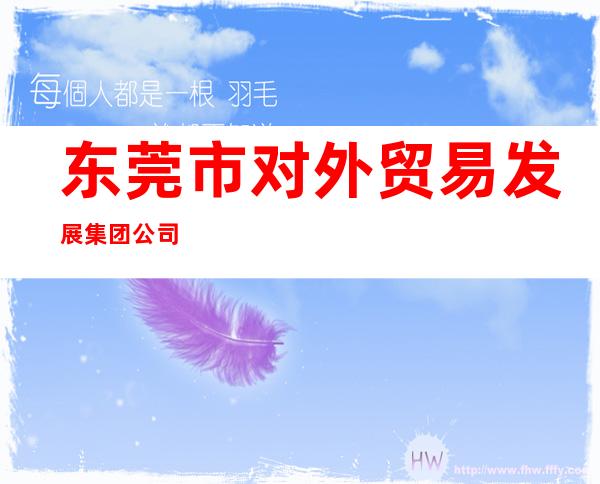东莞市对外贸易发展集团公司