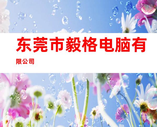东莞市毅格电脑有限公司