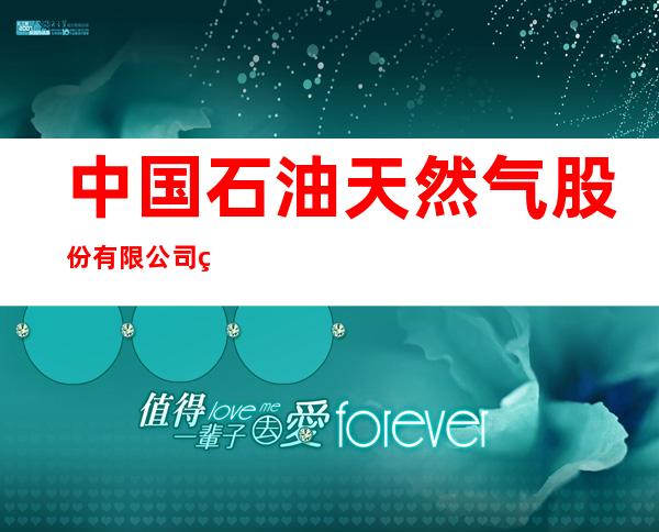 中国石油天然气股份有限公司甘肃庆阳销售分公司诚信加油站