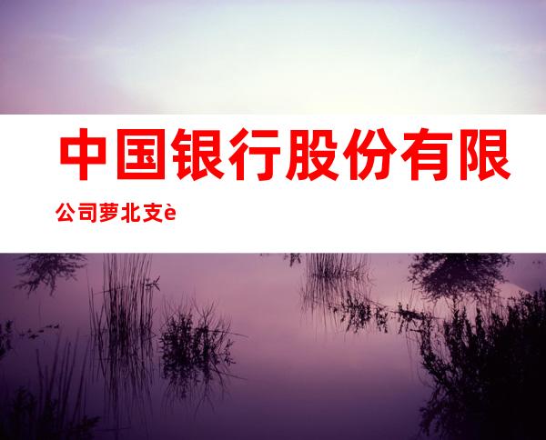 中国银行股份有限公司萝北支行