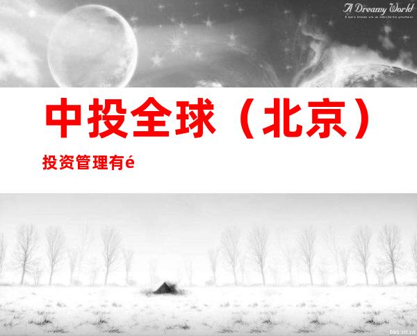 中投全球（北京）投资管理有限公司和龙分公司