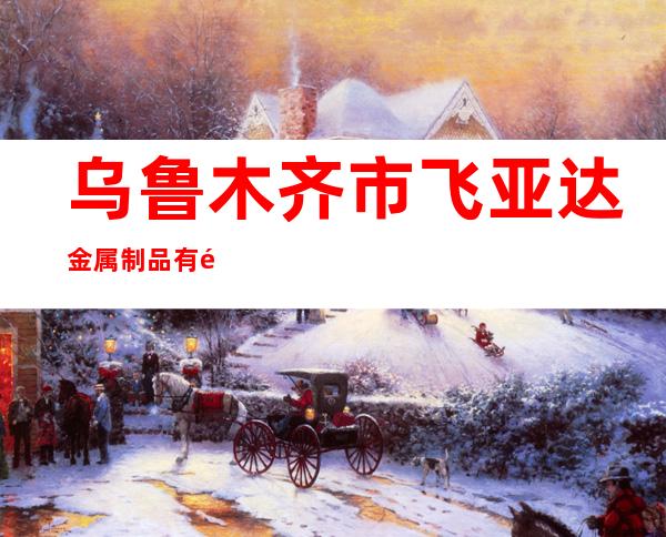 乌鲁木齐市飞亚达金属制品有限公司