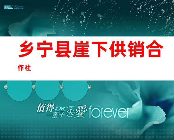 乡宁县崖下供销合作社