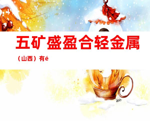 五矿盛盈合轻金属（山西）有限公司