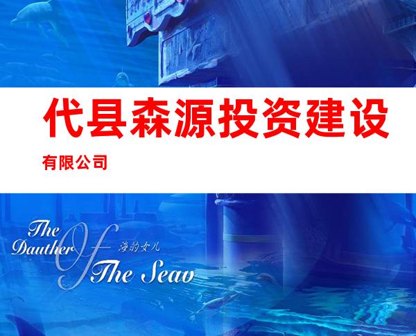 代县森源投资建设有限公司