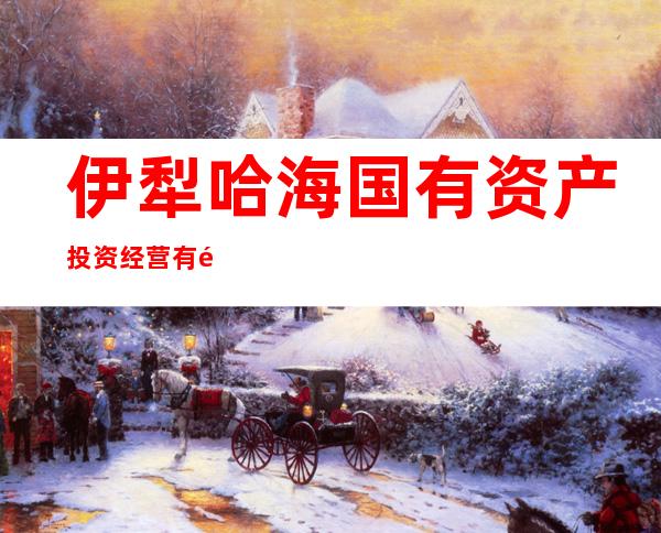 伊犁哈海国有资产投资经营有限公司