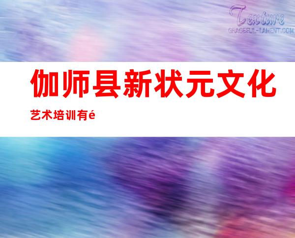 伽师县新状元文化艺术培训有限公司