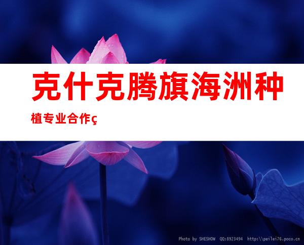 克什克腾旗海洲种植专业合作社