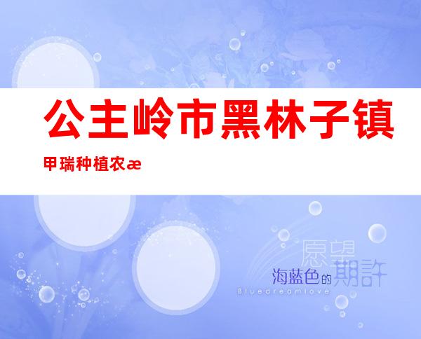 公主岭市黑林子镇甲瑞种植农民专业合作社