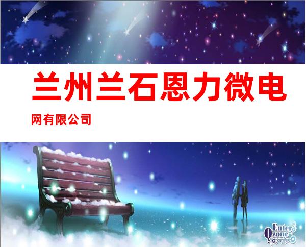 兰州兰石恩力微电网有限公司