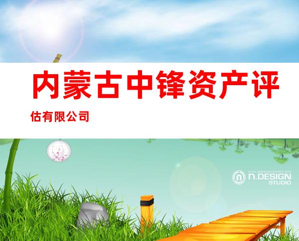 内蒙古中锋资产评估有限公司