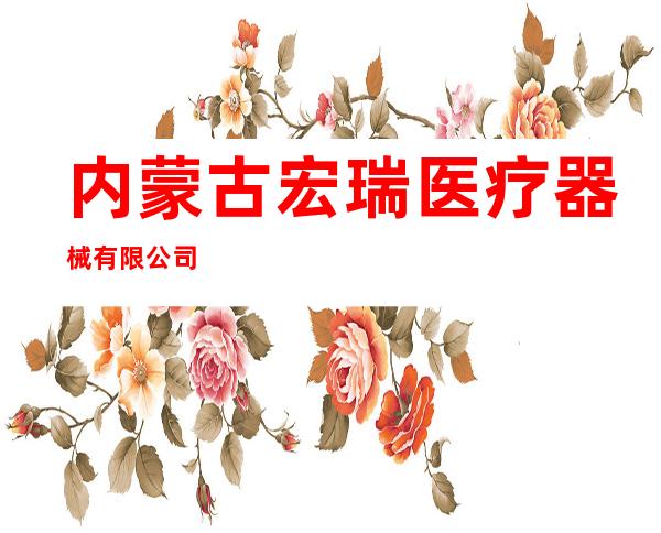 内蒙古宏瑞医疗器械有限公司