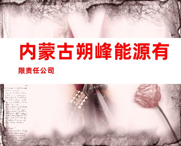 内蒙古朔峰能源有限责任公司