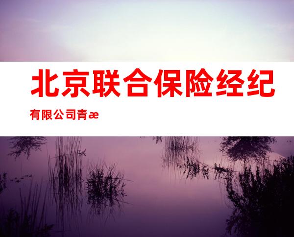 北京联合保险经纪有限公司青海省分公司