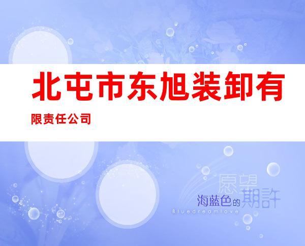 北屯市东旭装卸有限责任公司