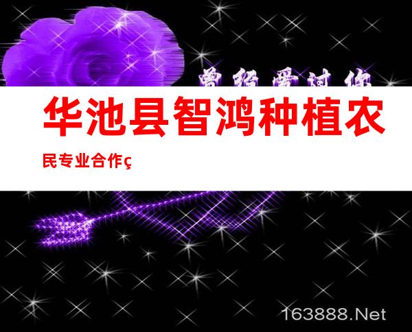 华池县智鸿种植农民专业合作社