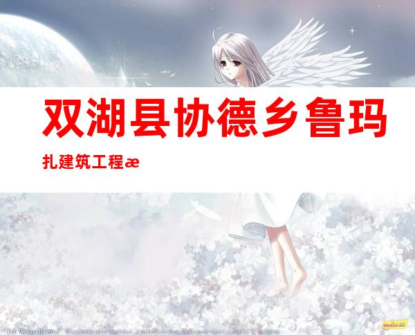 双湖县协德乡鲁玛扎建筑工程有限公司