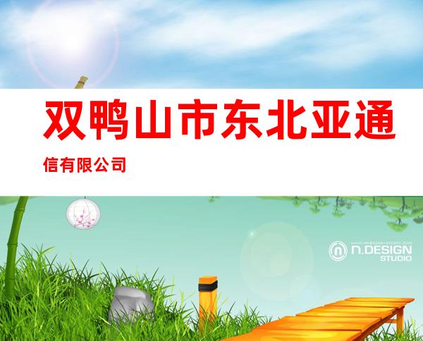 双鸭山市东北亚通信有限公司