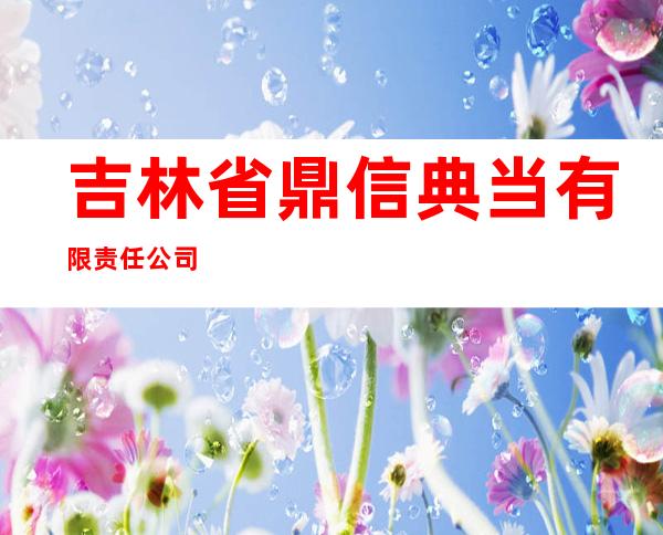 吉林省鼎信典当有限责任公司