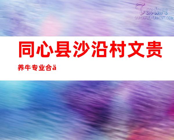 同心县沙沿村文贵养牛专业合作社