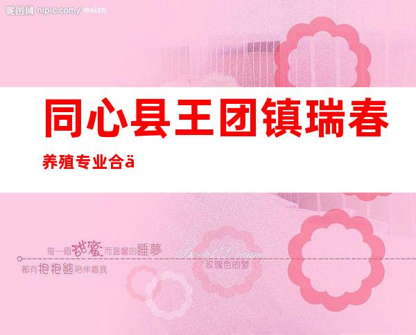 同心县王团镇瑞春养殖专业合作社