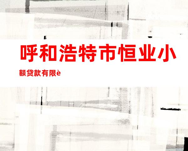 呼和浩特市恒业小额贷款有限责任公司