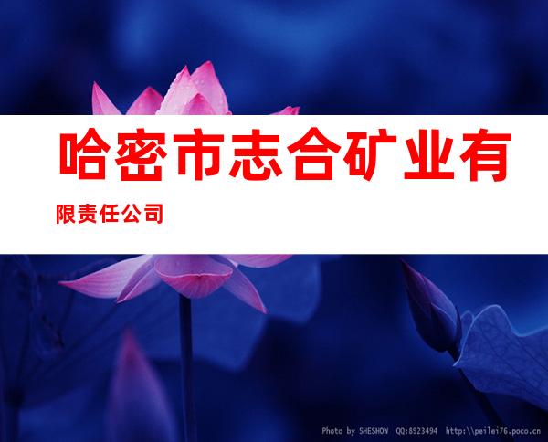 哈密市志合矿业有限责任公司