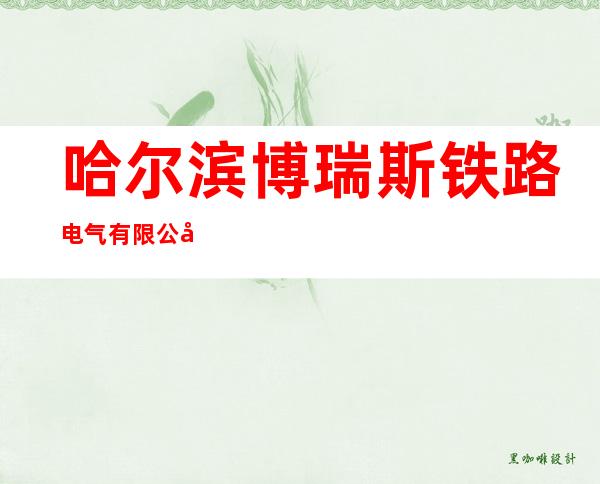 哈尔滨博瑞斯铁路电气有限公司