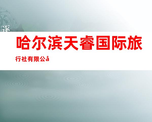 哈尔滨天睿国际旅行社有限公司
