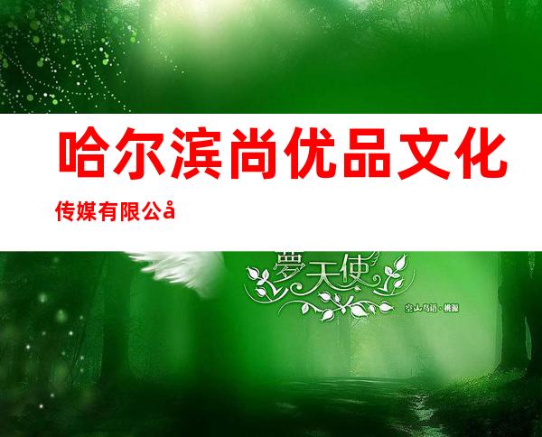 哈尔滨尚优品文化传媒有限公司