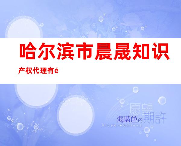 哈尔滨市晨晟知识产权代理有限公司