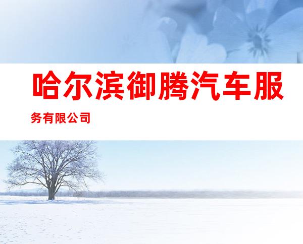 哈尔滨御腾汽车服务有限公司