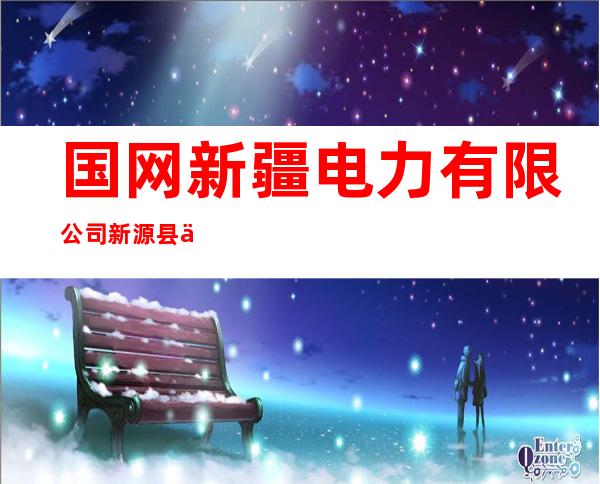 国网新疆电力有限公司新源县供电公司