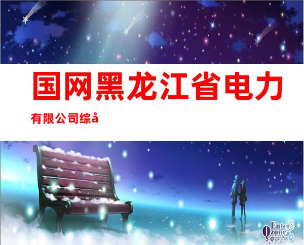 国网黑龙江省电力有限公司综合服务中心