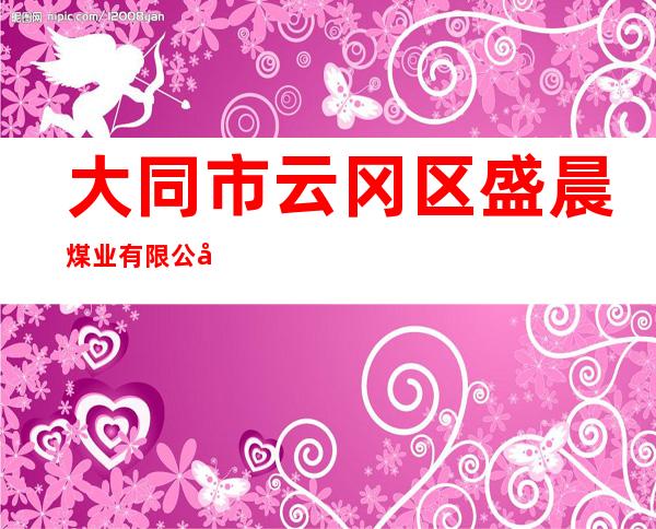 大同市云冈区盛晨煤业有限公司