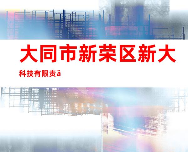 大同市新荣区新大科技有限责任公司