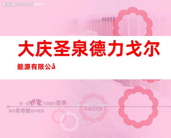 大庆圣泉德力戈尔能源有限公司