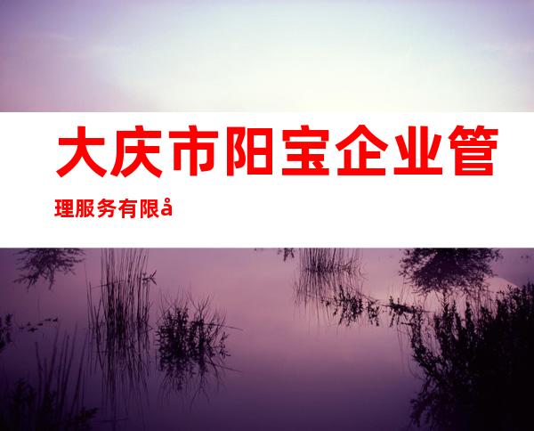 大庆市阳宝企业管理服务有限公司
