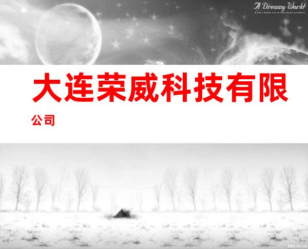 大连荣威科技有限公司
