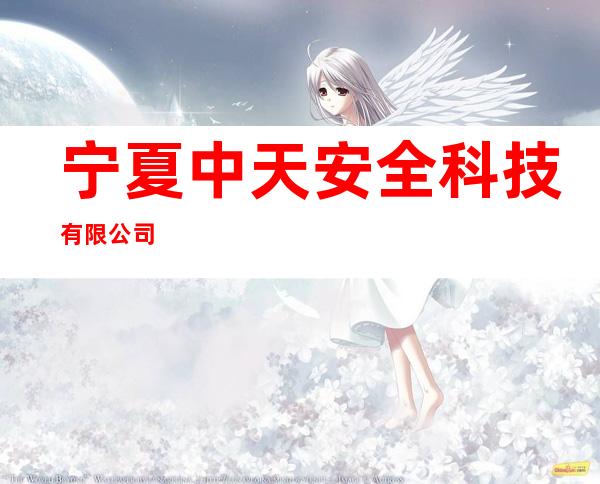 宁夏中天安全科技有限公司