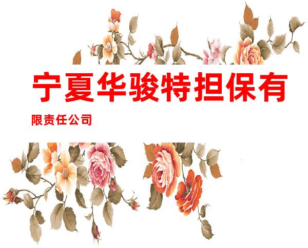 宁夏华骏特担保有限责任公司