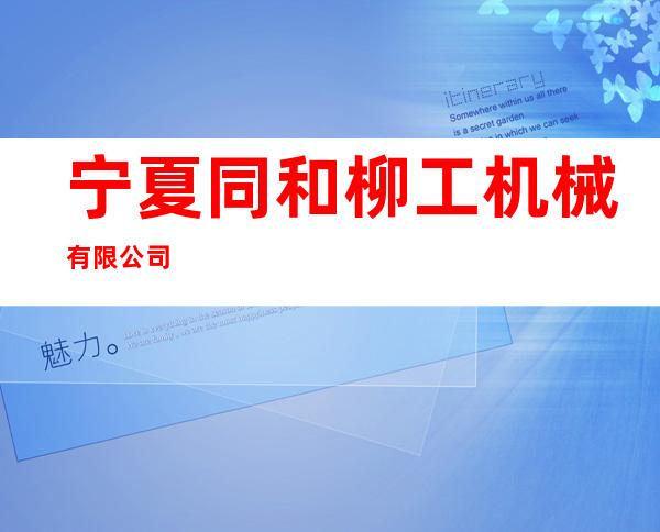 宁夏同和柳工机械有限公司