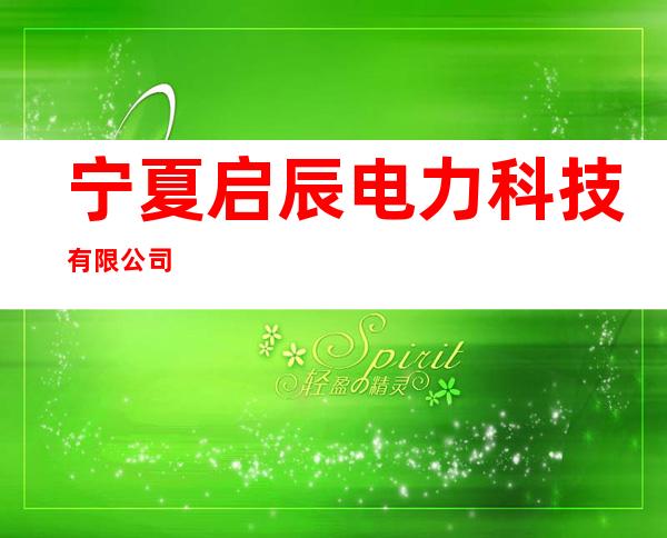 宁夏启辰电力科技有限公司