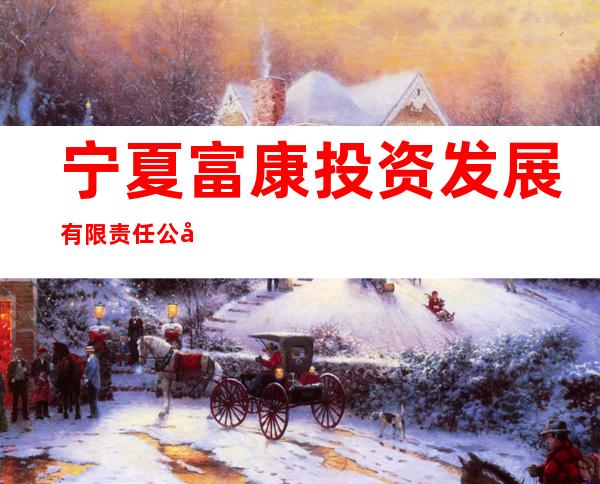 宁夏富康投资发展有限责任公司