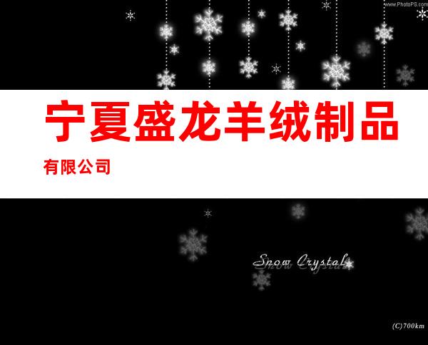宁夏盛龙羊绒制品有限公司