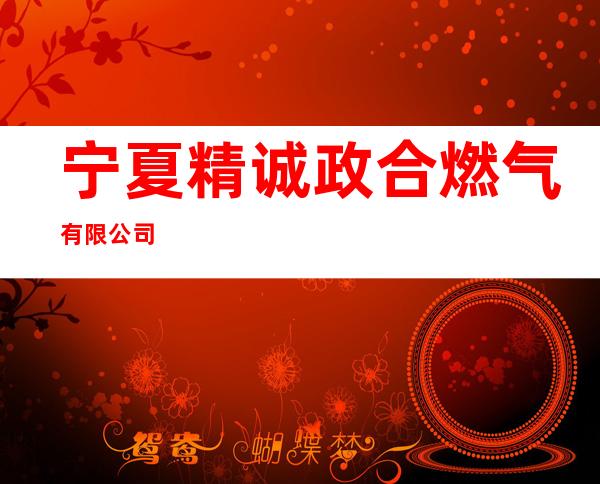 宁夏精诚政合燃气有限公司